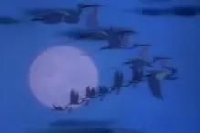 Walt Disney - Dumbo - Look Out for Mr. Stork.jpg